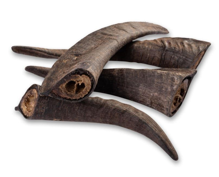 Single Ingredient Treats - Goat Horn 15-20cm Marrow in Qty 10