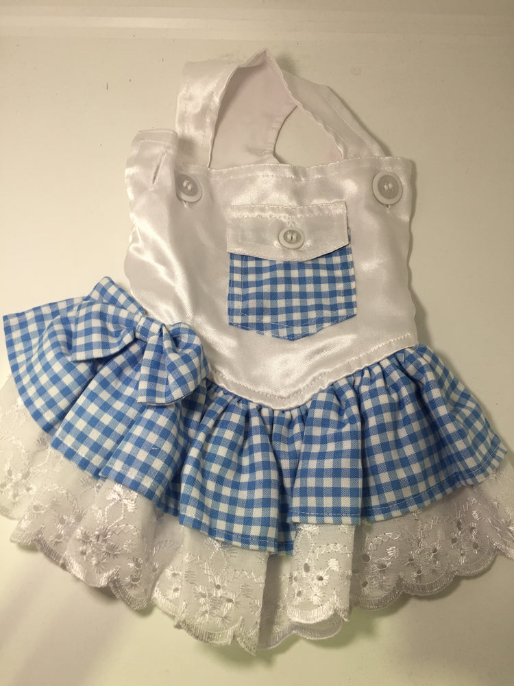 Dogs Togs Blue dress