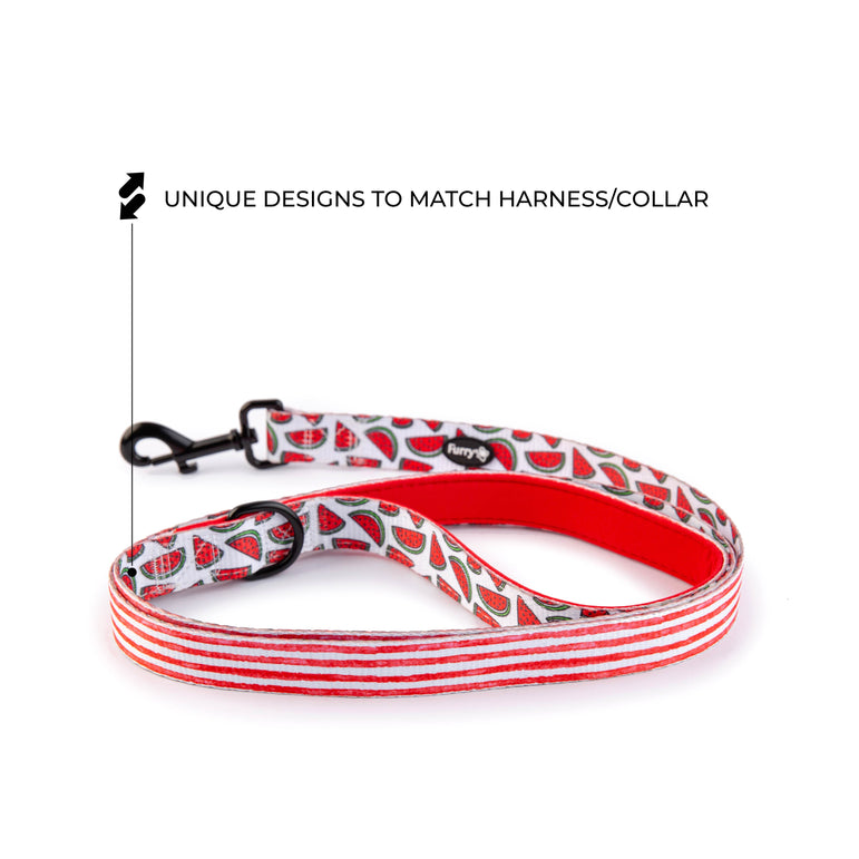 Watermelon Sugar Leash