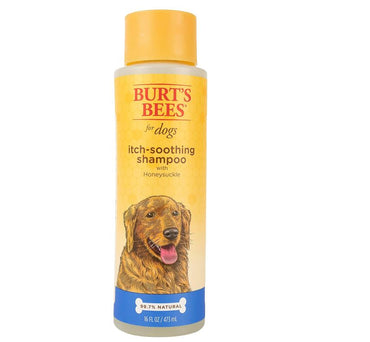 Burts Bees Itch Soothing Shampoo with Honeysuckle, 16 Ounces