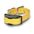 Dogtra IQ Mini remote training Collar