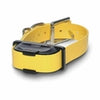 Dogtra IQ Mini remote training Collar