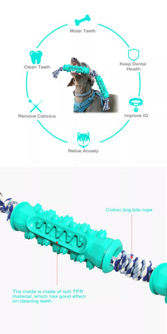 Chew toy with cotton rope