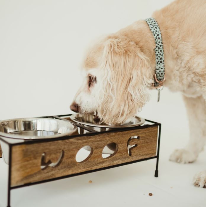 Wooden woof dog diner - 3 Sizes