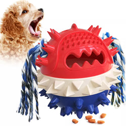 Leaky food squeaky ball chew toy