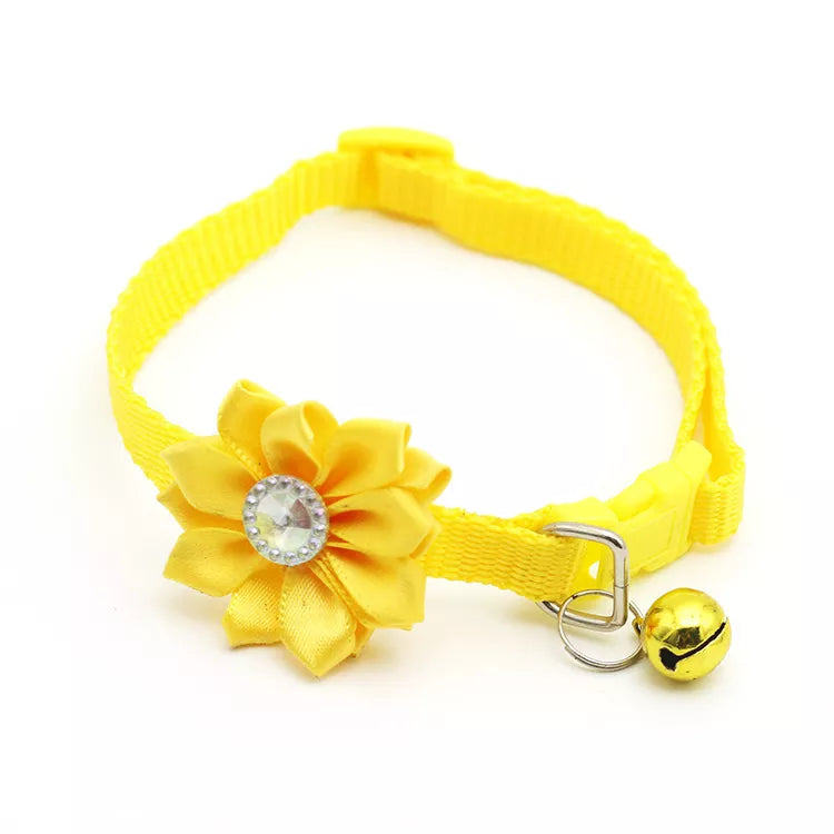 Pet Accessories Australia