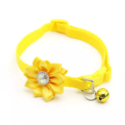 Cat collar with flower and bell
