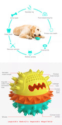 Leaky food squeaky ball chew toy