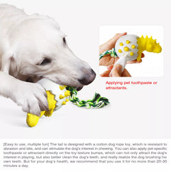 Durable Dinosaur rubber chew toy