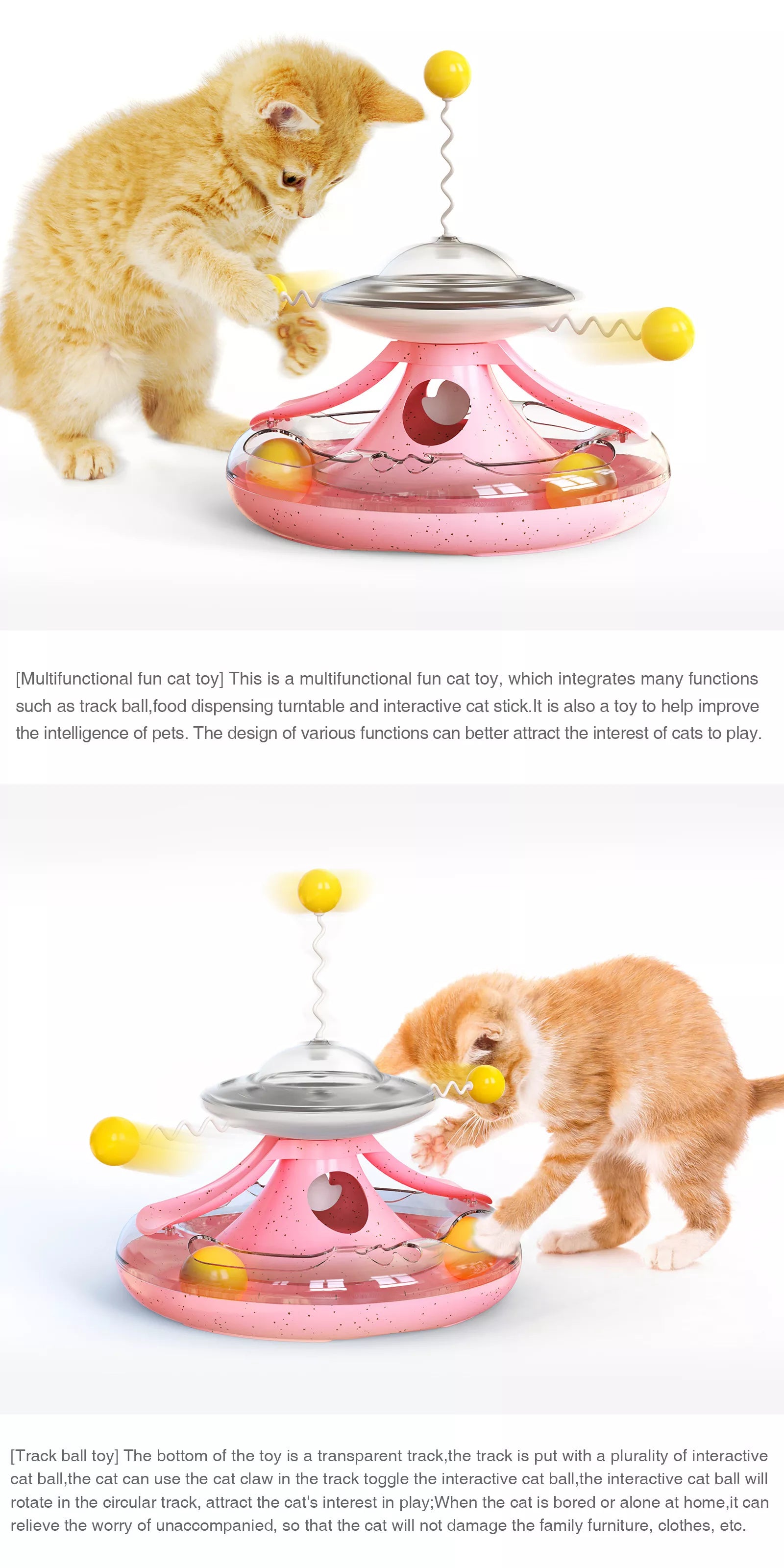 Pet Accessories Australia