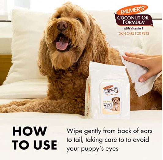 Pet Accessories Australia