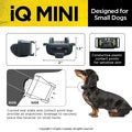 Dogtra IQ Mini remote training Collar