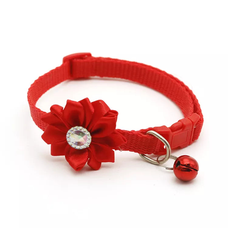 Pet Accessories Australia