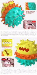 Leaky food squeaky ball chew toy