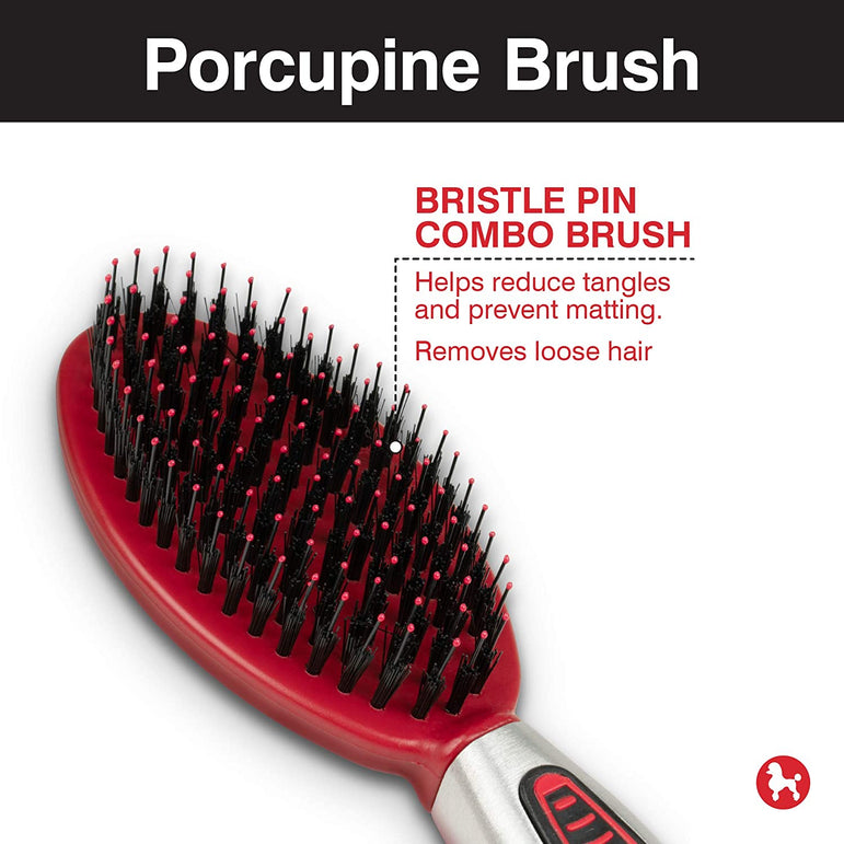 FCH-CHI BRISTLE PIN COMBO BRUSH
