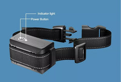 PAA 2 in1 Dog Training and Bark Collar with remote 1000 Meter Range