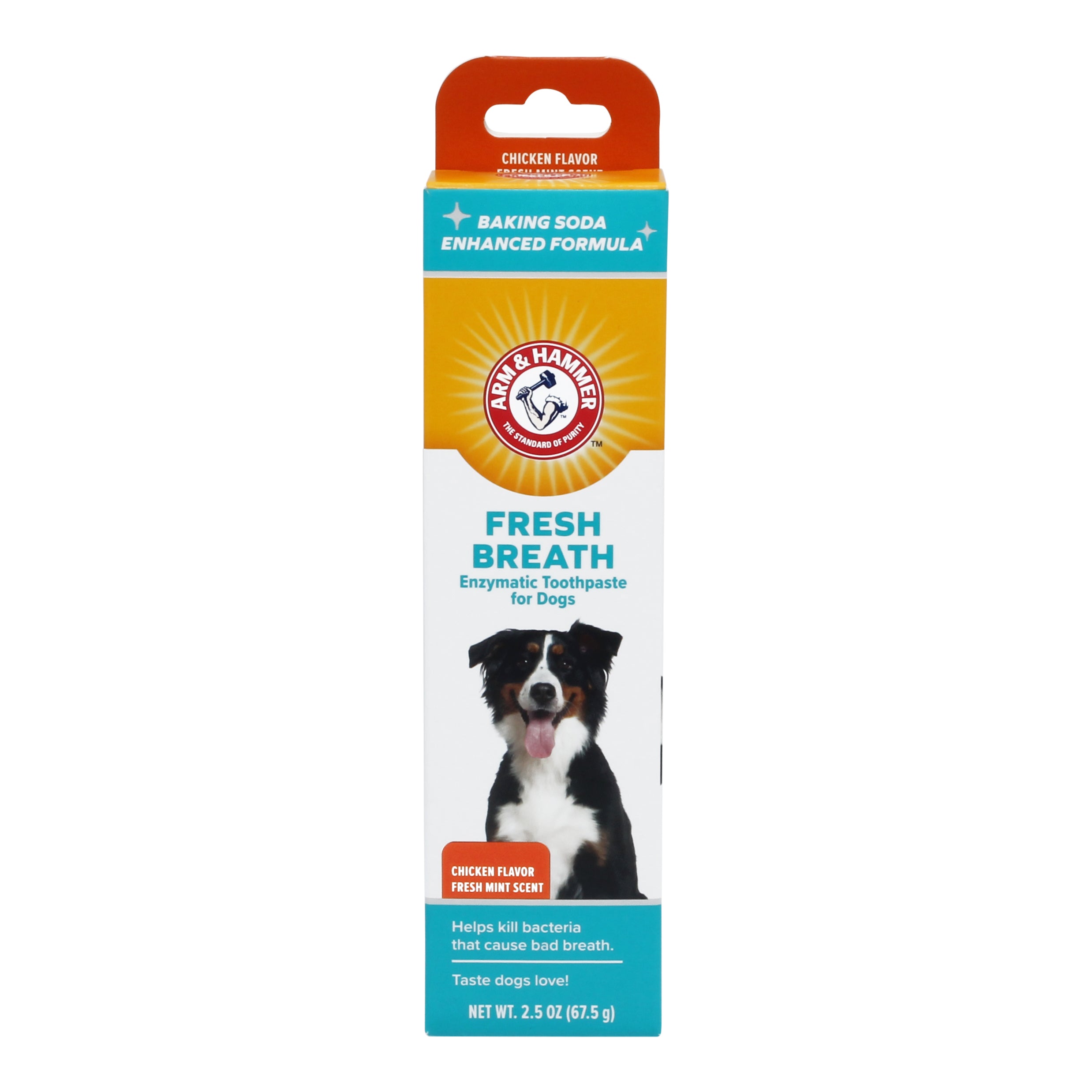 ARM & HAMMER FRESH BREATH ENZYMATIC TOOTHPASTE FOR DOGS, CHICKEN FLAVORR - Value Size 6.2oz