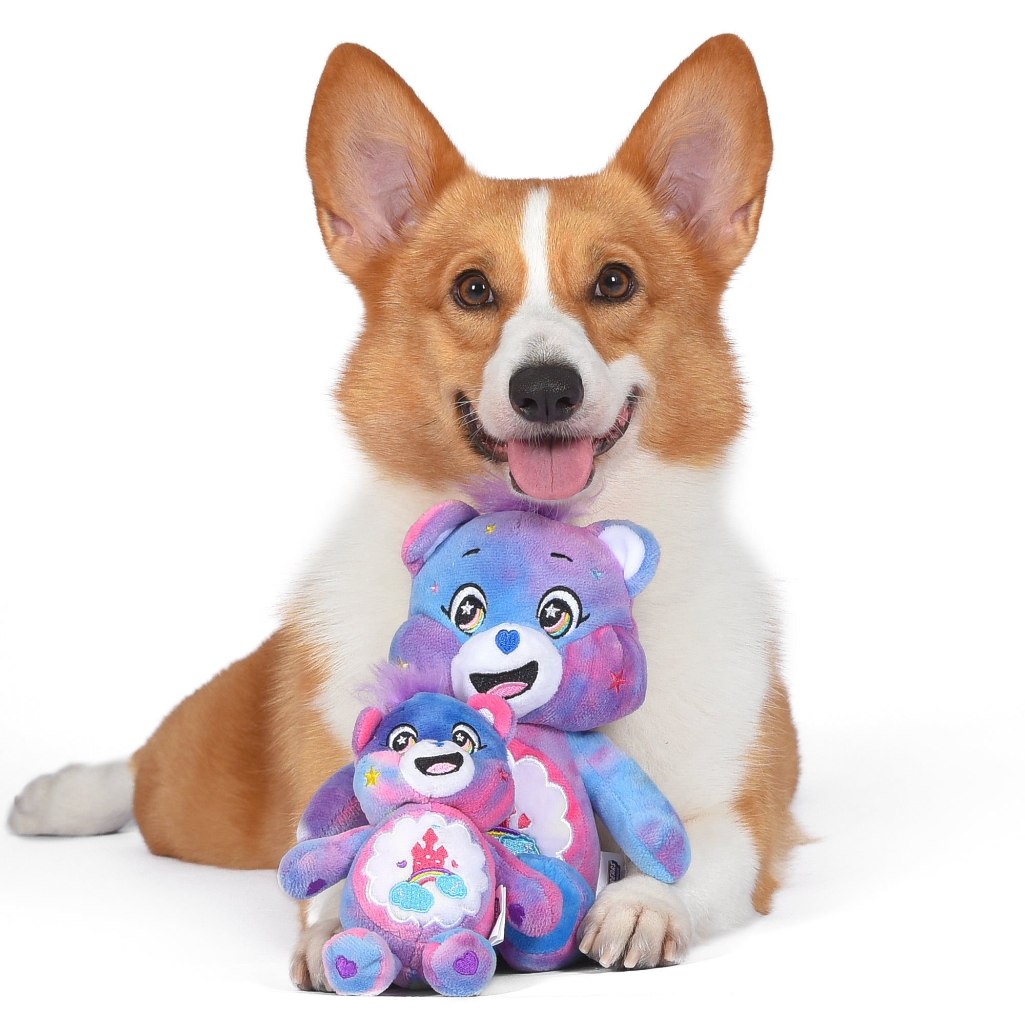 Pet Accessories Australia