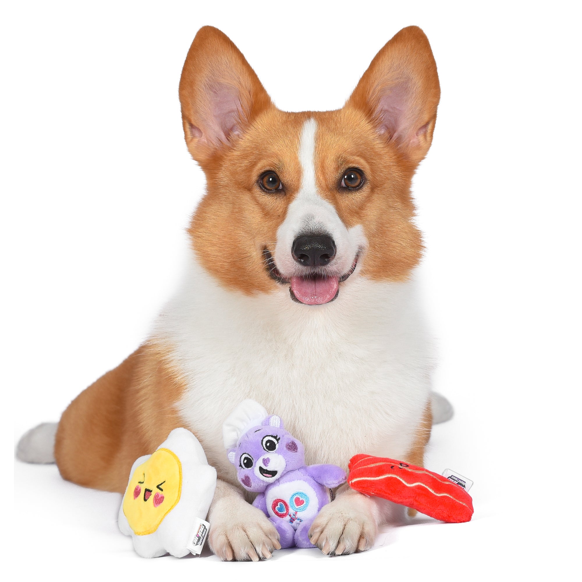 Pet Accessories Australia