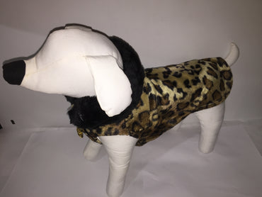 Dogs Togs fashion Jacket black on leopard.