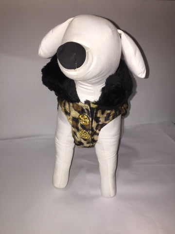 Dogs Togs fashion Jacket black on leopard.