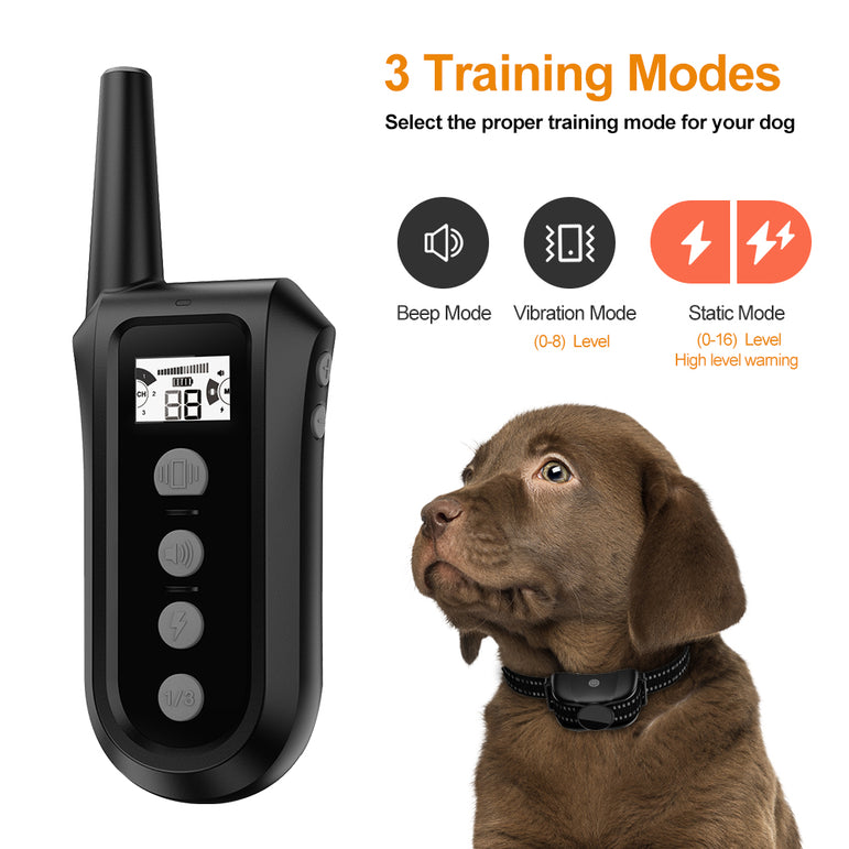 PAA Dog Training Collar with remote 400 Meter Range