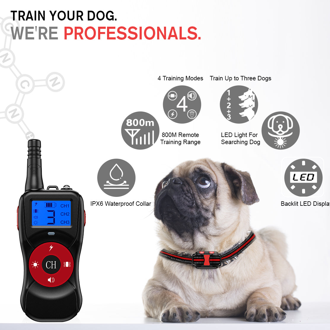 PAA Dog Training with remote 800 Meter Range