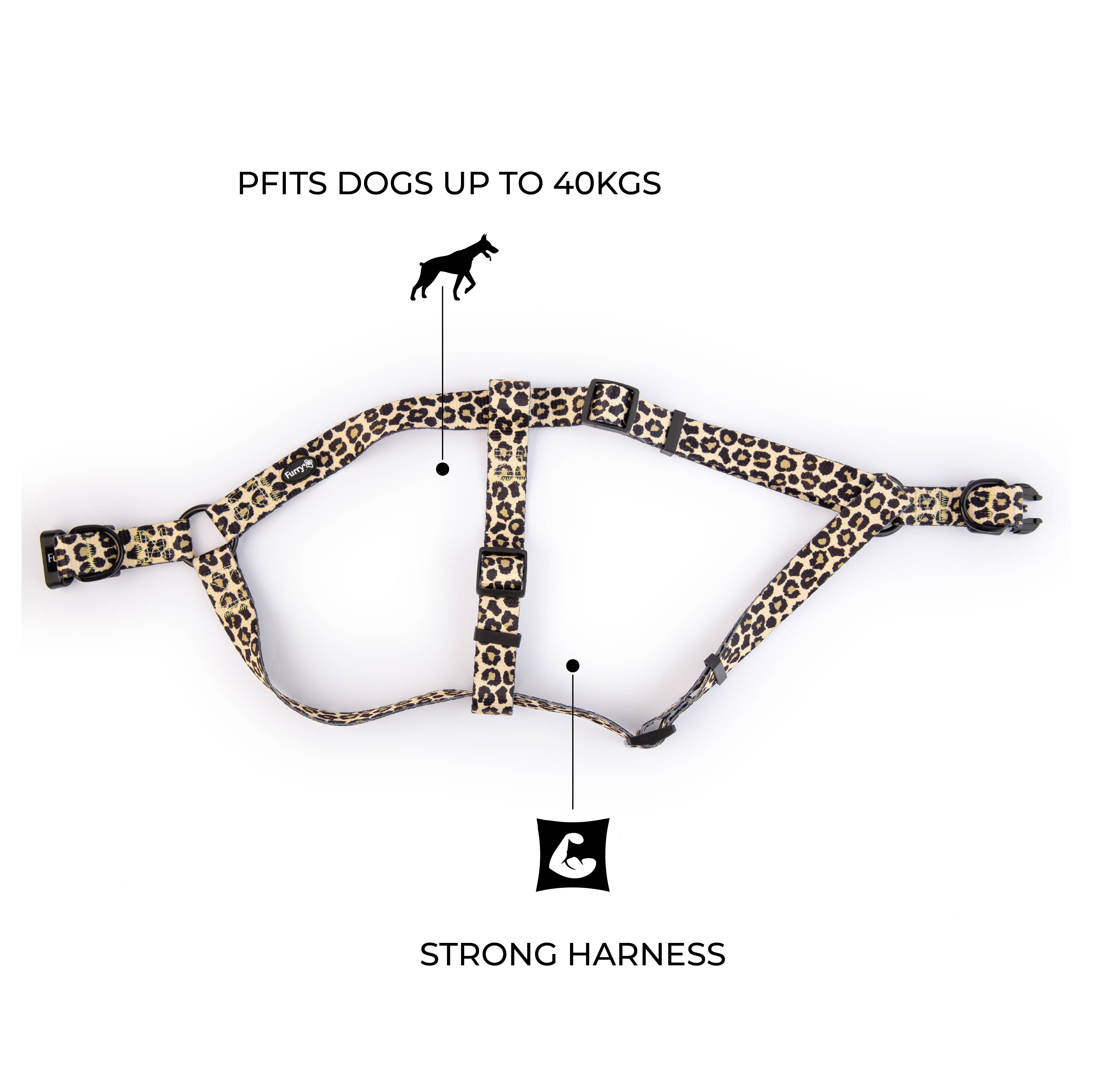 Wild One Strap Harness - Leopard Print