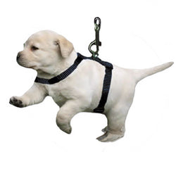 Small Animal Harness - Guinea Pig, Puppies, Kittens (SH240)